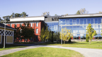 Raseborg1