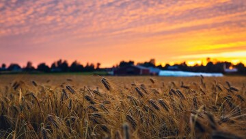 malin k QltogcR Mzc unsplash