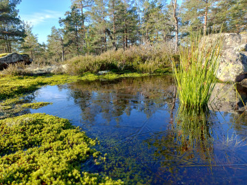 IMG 20241016 105419272 HDR