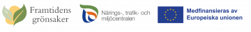 logo banner v2