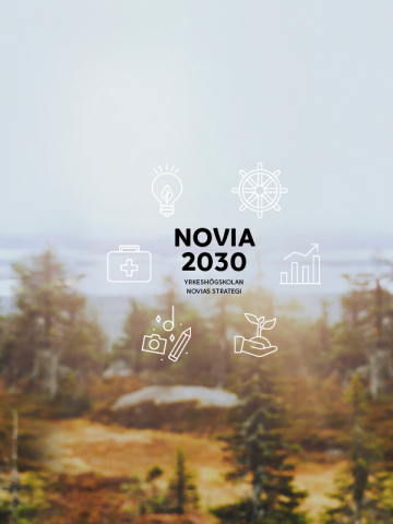 novia strategi banner stor