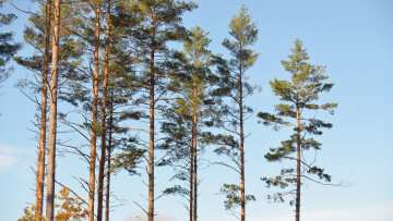 MasterofNaturalResources NaturalResourcesManagement2