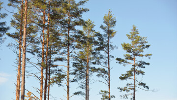 MasterofNaturalResources NaturalResourcesManagement2