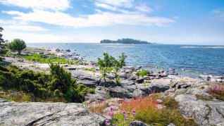 BachelorofNaturalResources SustainableCoastalManagement2