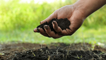 agrolog7