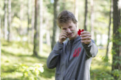Skogsbruksingenjör
