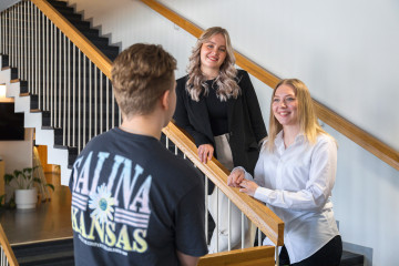 Företagsekonomi studerande trappa