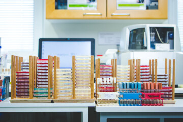 bioanalytiker2