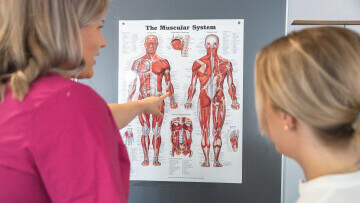 studerande anatomi affisch vård