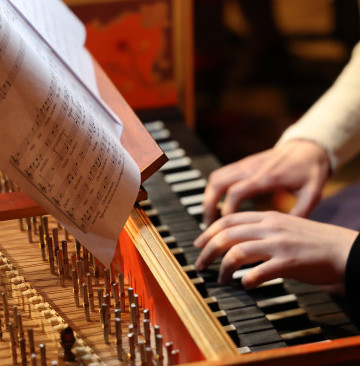 Musiker flerform