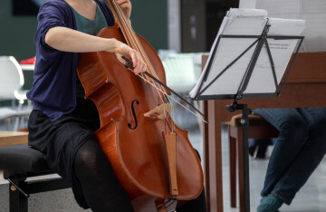 barock cello