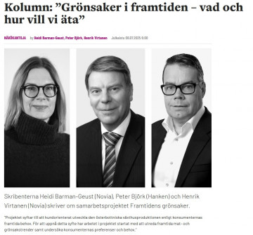 Vaasa Insider 2025 07 08