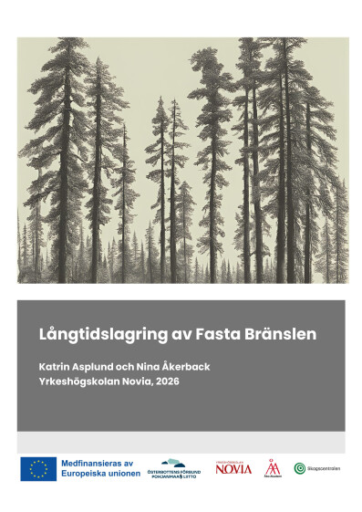Serie R 14/2026: Asplund & Åkerback -  Långtidslagring av bränslen