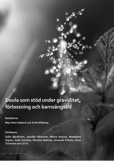 Nyback och Wikberg_2017